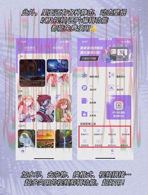 免费下载金年会娱乐APP的全面指南