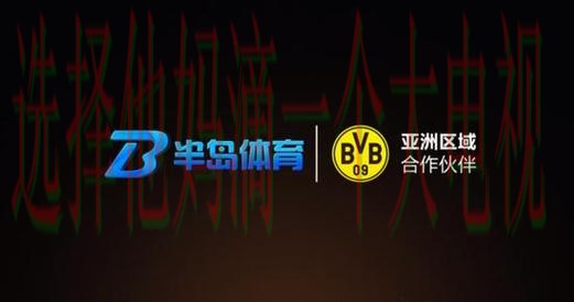 全面解析半岛体育APP官网功能与特色