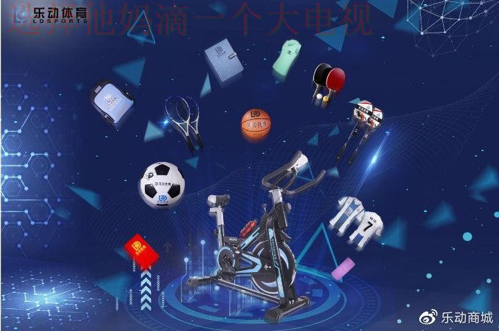 乐动正规版：探索最佳体验与功能